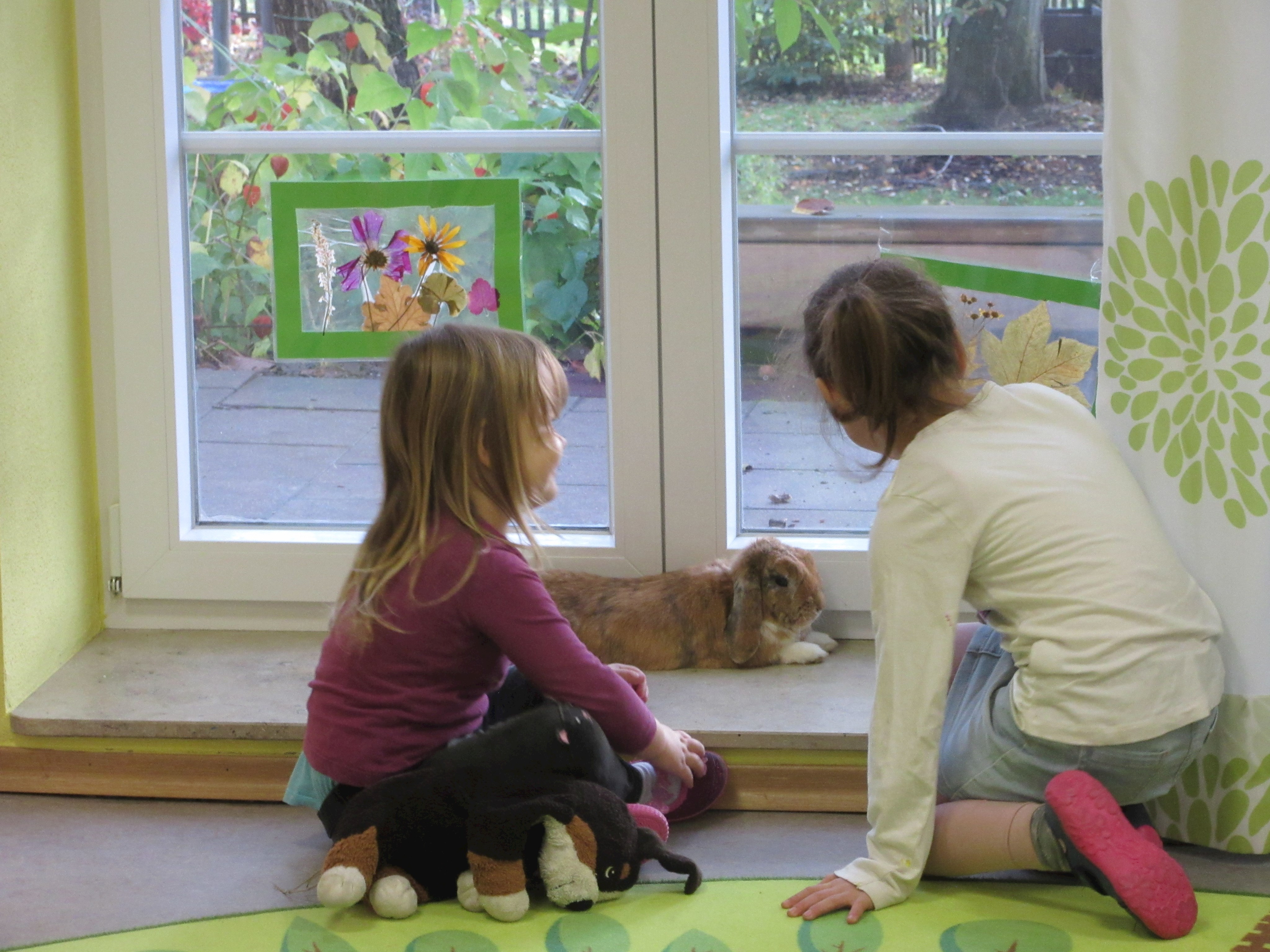 Foto 4 Wollomoos Kinder und Hase.JPG Leider haben wir keinen Alternativtext zu diesem Bild. Wir arbeiten daran und bitten um Ihr Verständnis.