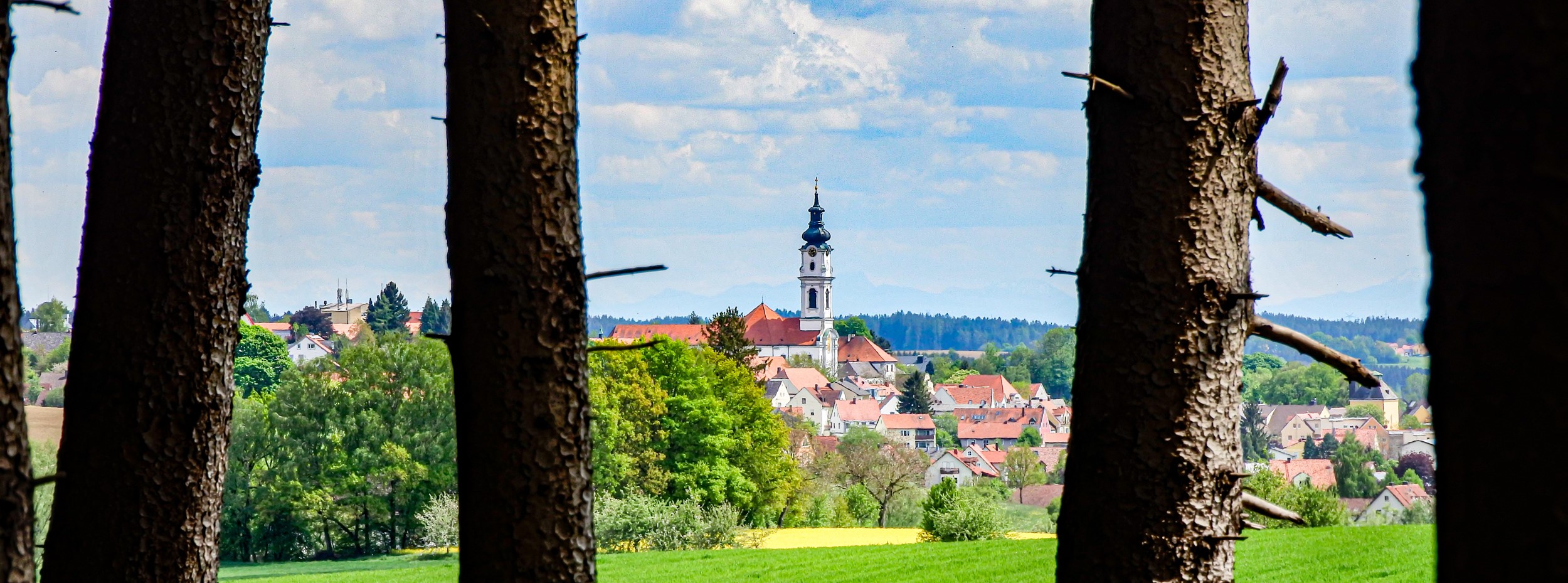 Leider haben wir keinen Alternativtext zu diesem Bild. Wir arbeiten daran und bitten um Ihr Verständnis.