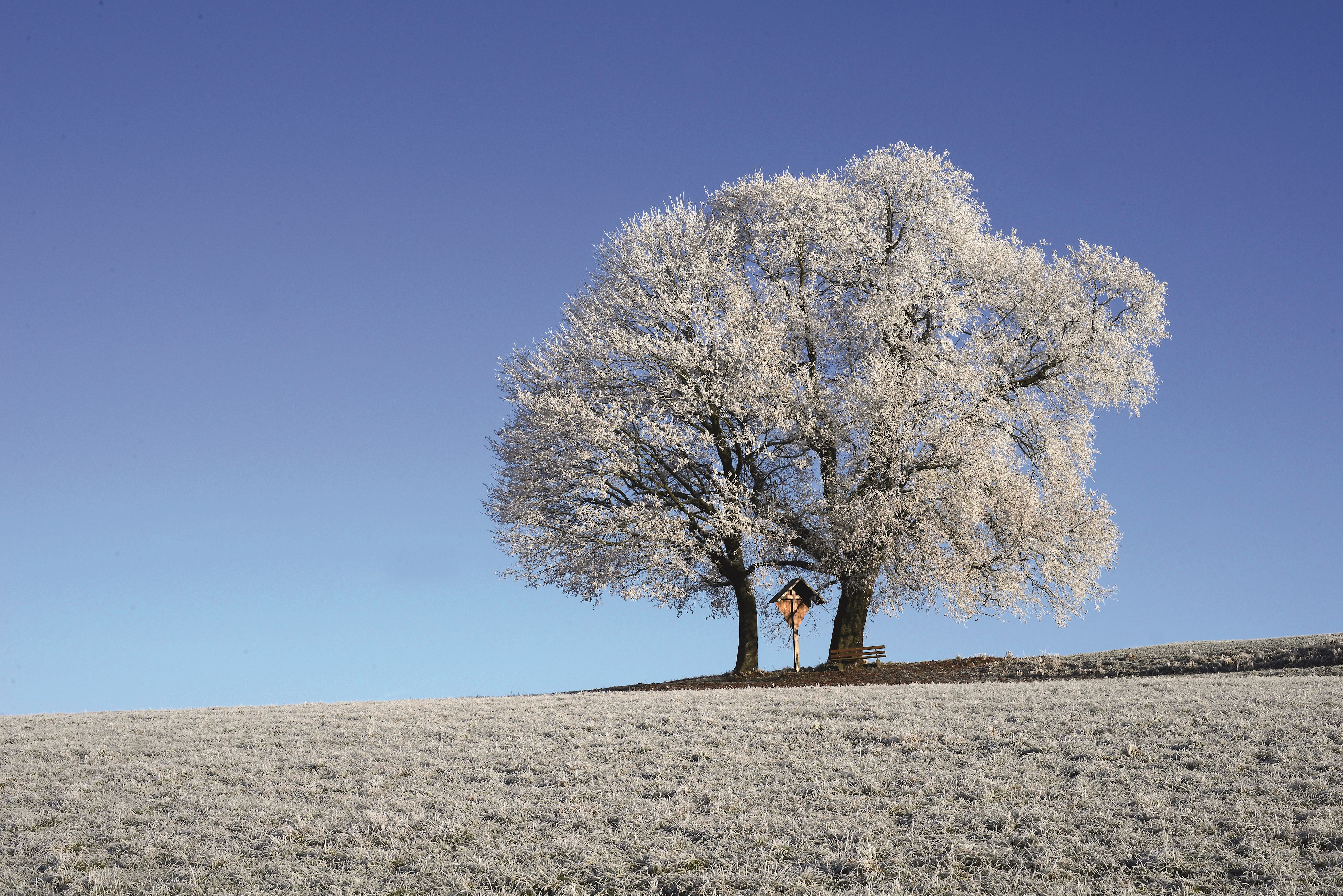 Leider haben wir keinen Alternativtext zu diesem Bild. Wir arbeiten daran und bitten um Ihr Verständnis.