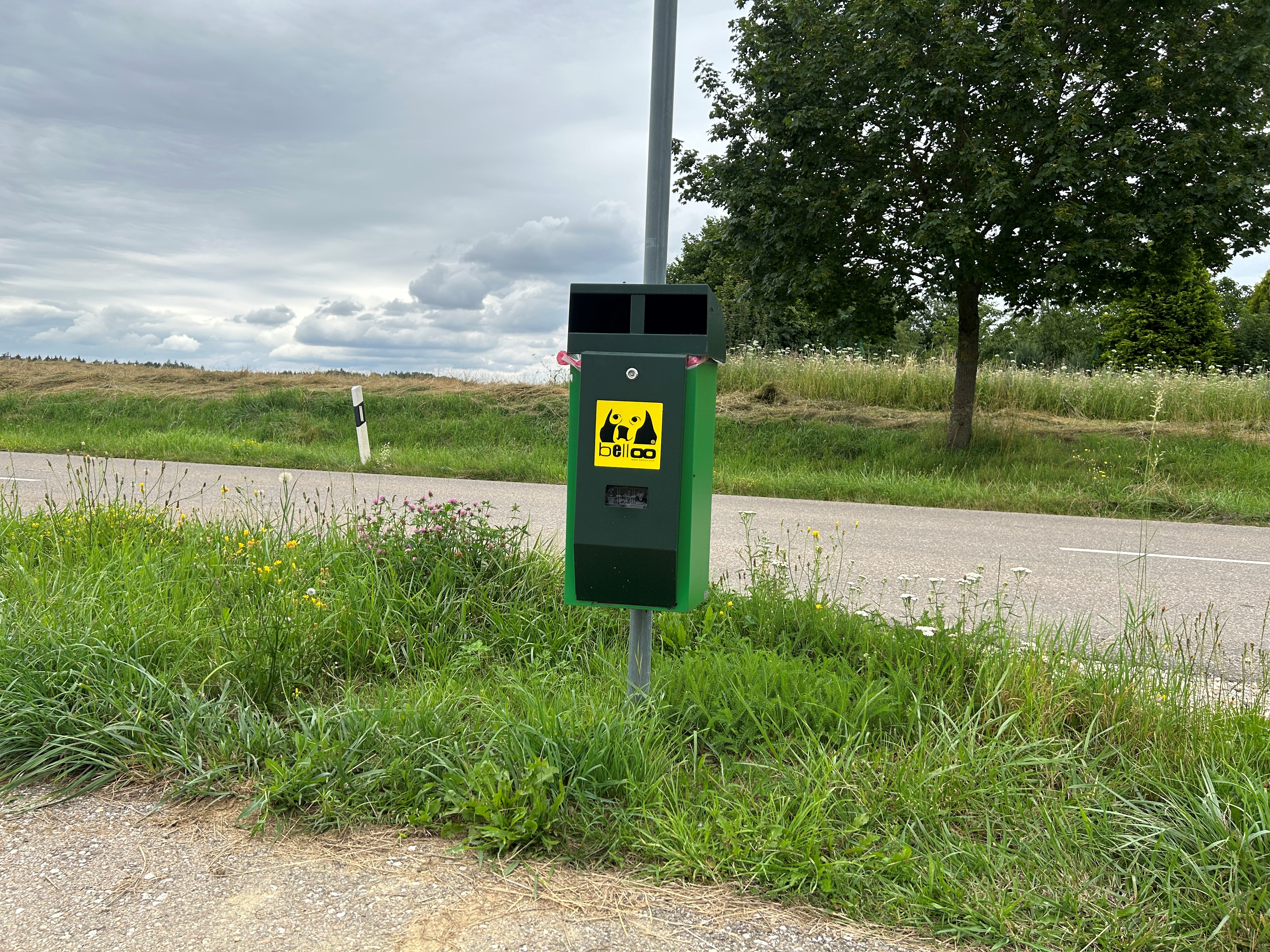 Bild vergrößern