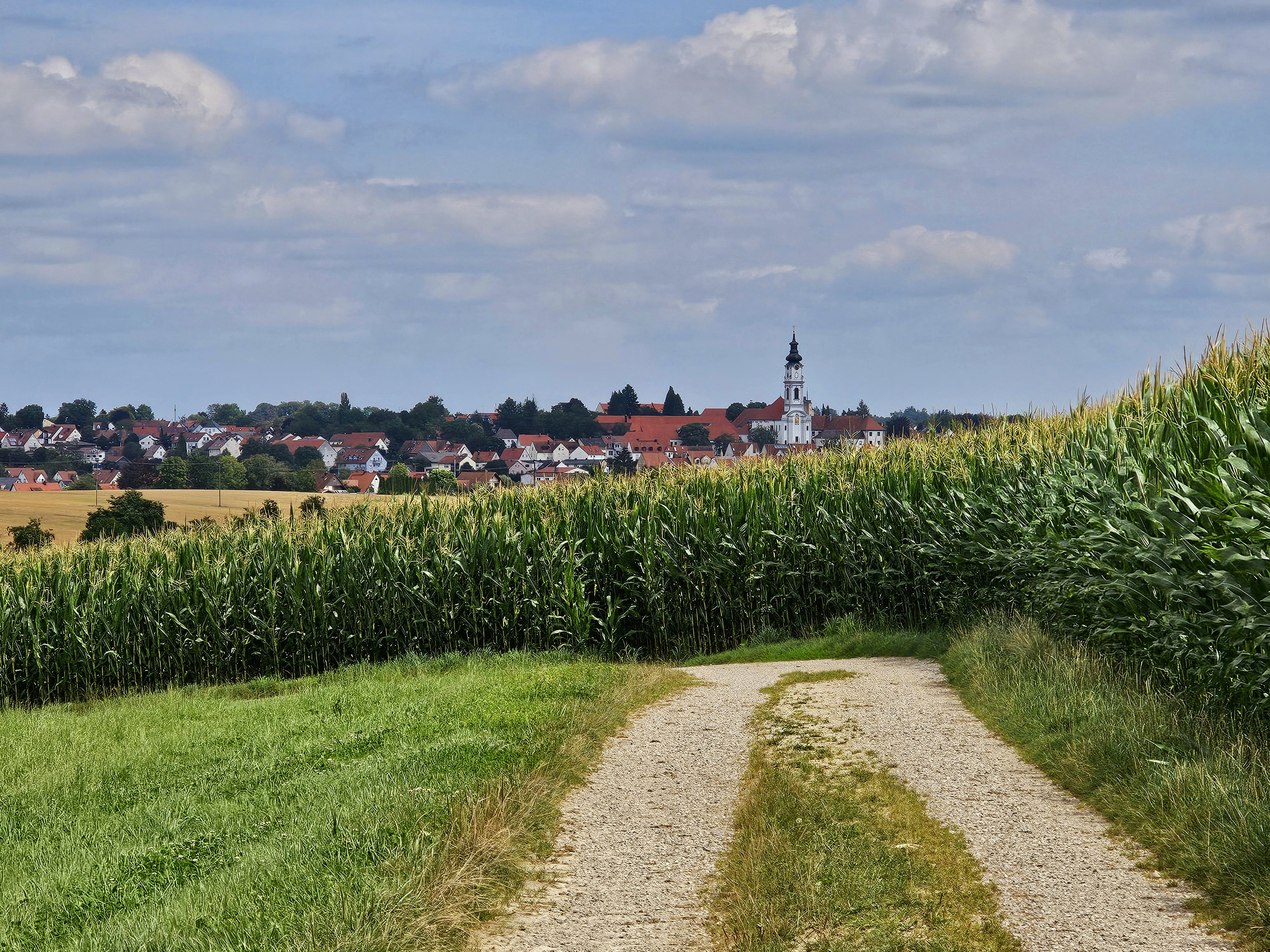 Leider haben wir keinen Alternativtext zu diesem Bild. Wir arbeiten daran und bitten um Ihr Verständnis.