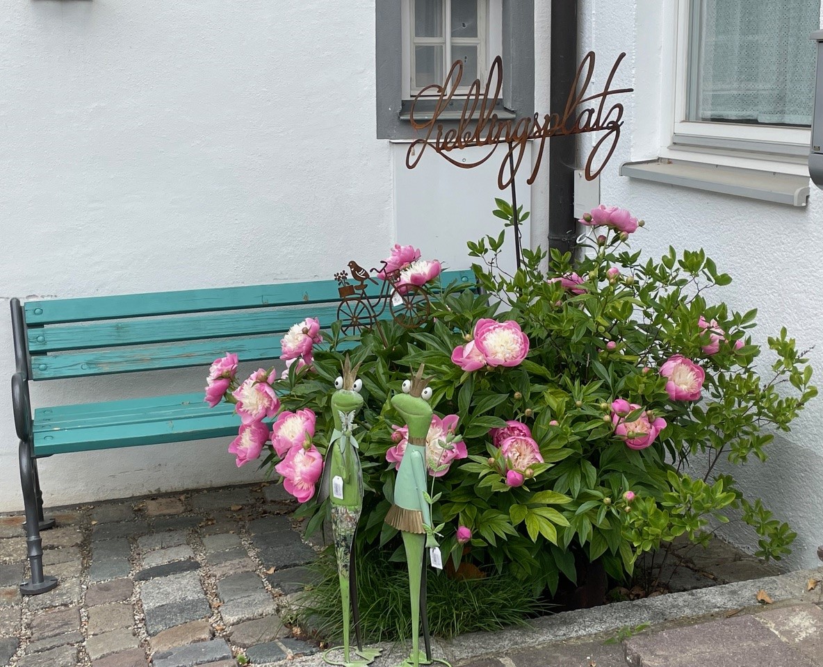 Bild vergrößern
