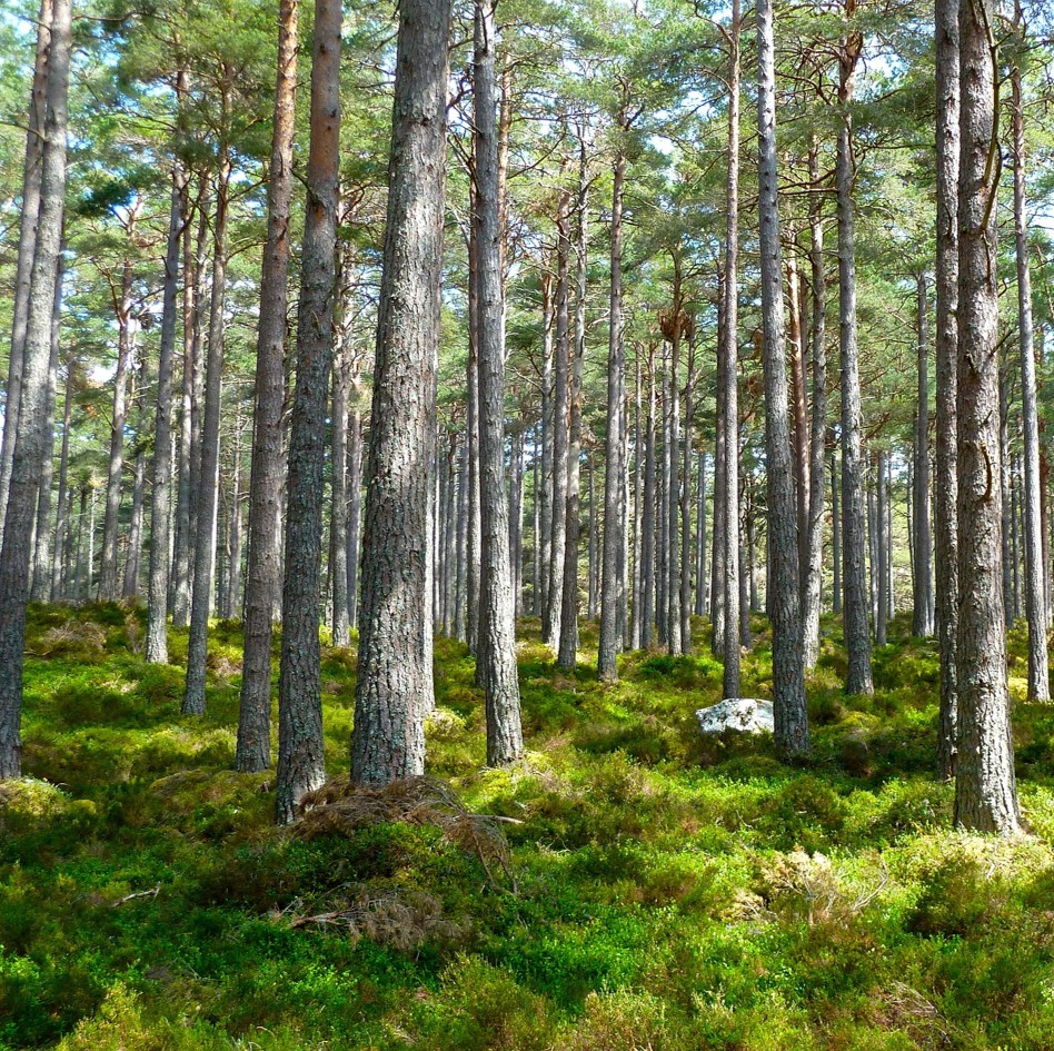 Leider haben wir keine weiteren Informationen zu diesem Link. Wir arbeiten daran und bitten um Ihr Verständnis.