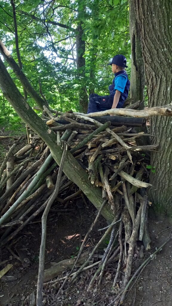 Junge mit Hut und Tasche bei einem Baumstumpf und Holz.